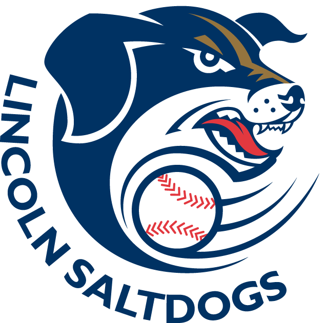 Lincoln Saltdogs 2006-Pres Primary Logo iron on heat transfer